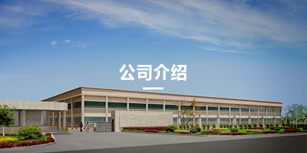 ��˾����